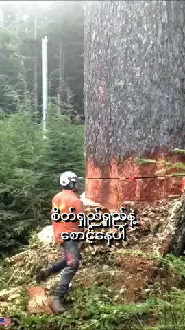 ရောက်လာမှာမဟုတ်တော့ဘူး #fypシ゚ #foryoupage #viwerတေရှယ်ကျ😔👍 #ON4t 