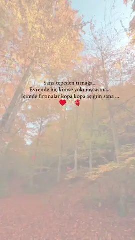 ♥️🫶🏻🫀 #ask #sevgilim #kesfet #muzik 