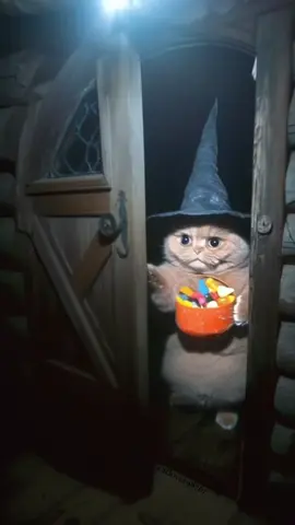 Trick or Treat! (Happy Halloween) 