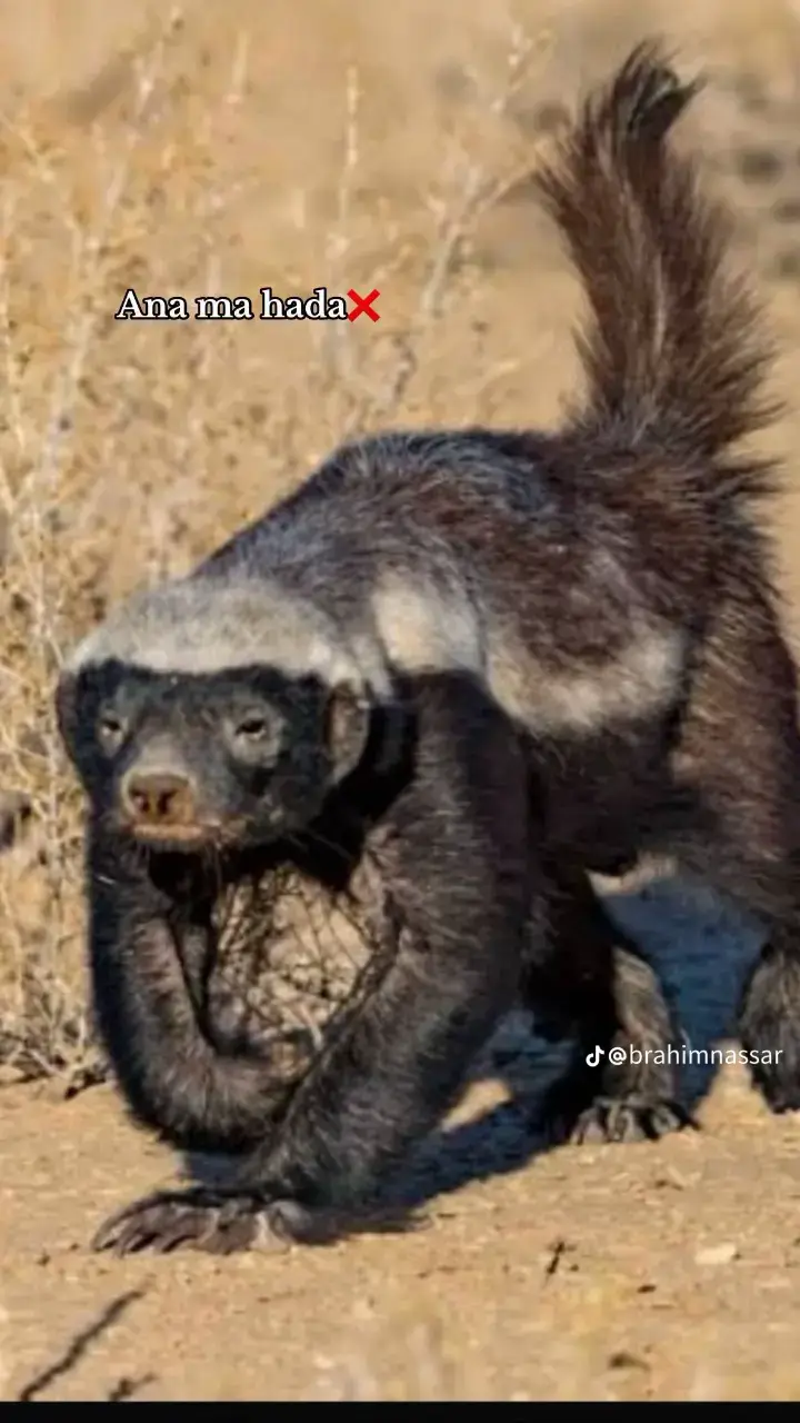 #fyyyyyyyyyyyyyyyyyyy #😍😍😍😍