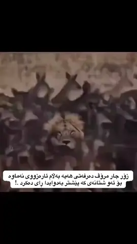 #d_shex #foryoupage #explore 