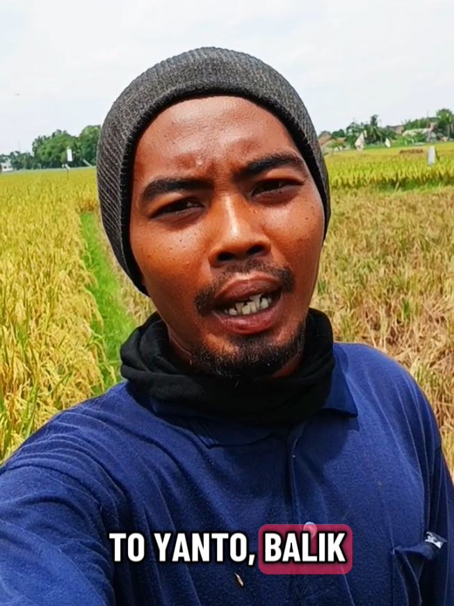 tooo yanto  #modalvidiodoang #hiburan 