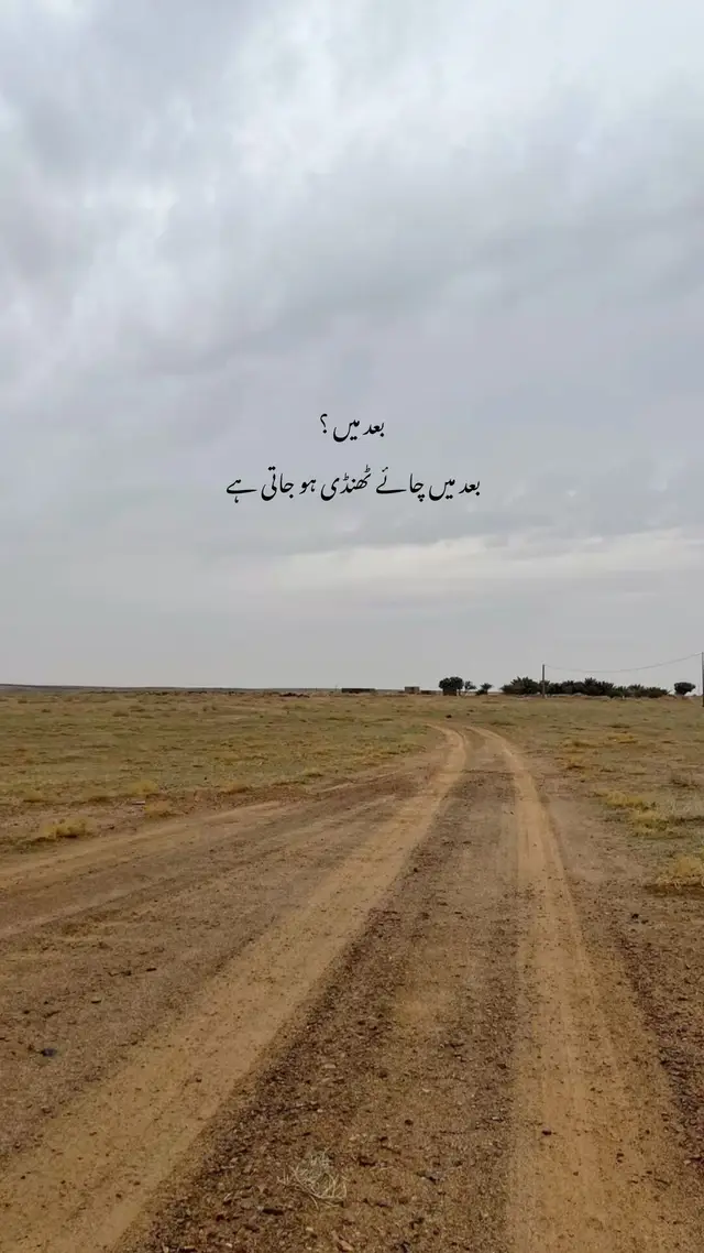 LINES ❤️‍🩹🥀 #foryoupage #fyp #loyal_estic 