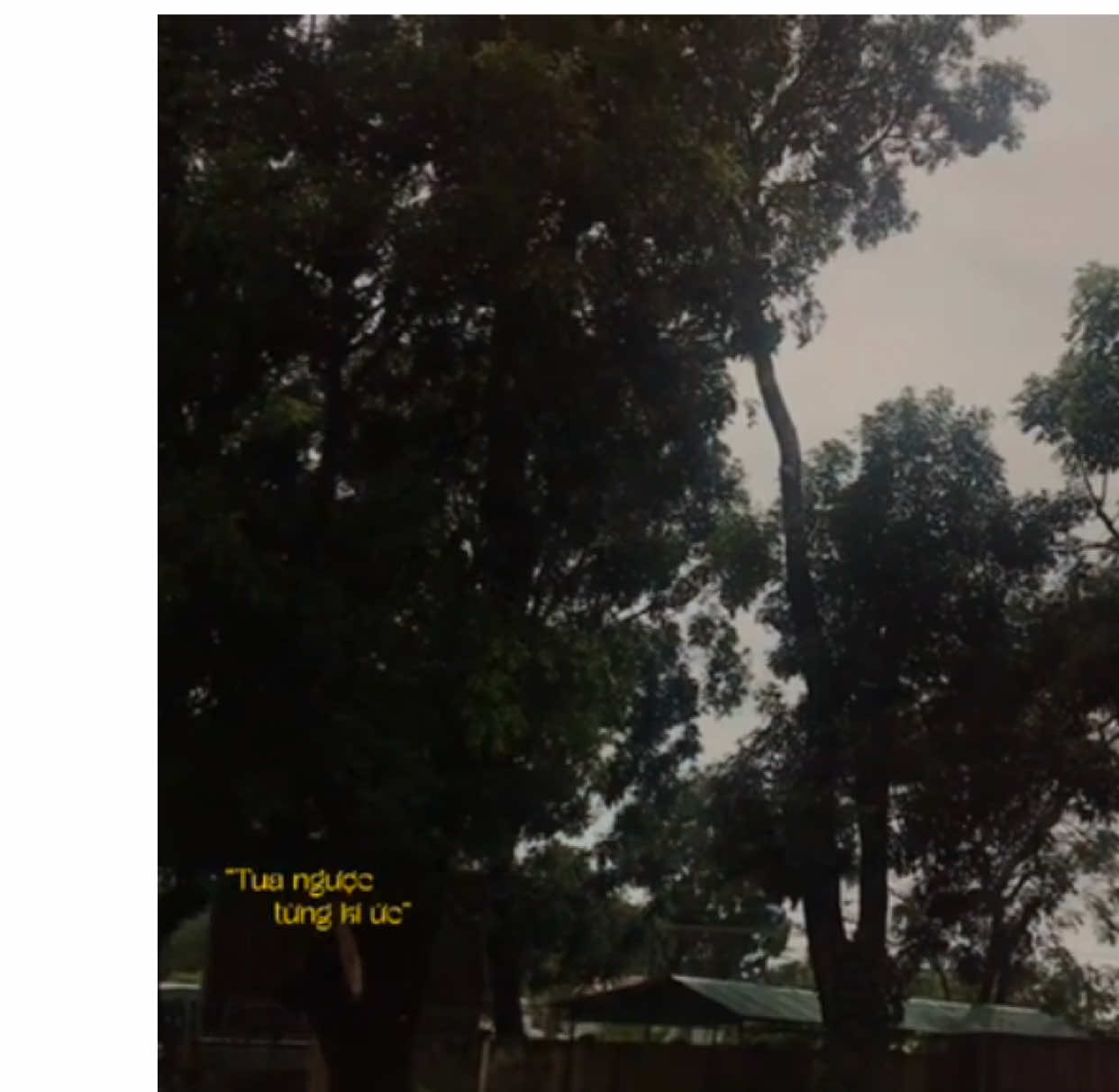 lớp du#viral #thanhxuan #thcsnguyentrai 