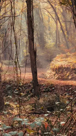 Bir selamın gelmez #gezilecekyerler #arabeskşarkılar #arabeskinkralı🅱️🅰️🅱️🅰️ #arabeskdamarşarkılar #arabeskmüzik 