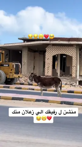 #شعب_الصيني_ماله_حل😂😂😂 