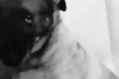 صاير تمشي وحدك😔😂!  #اكسبلورexplore #fyp #الشعب_الصيني_ماله_حل😂😂 #foryoupage 