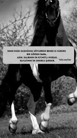 #keşfetteyizzz #tiktokkeşf #keşfetbeniöneçıkar #tiktokviral #kesfetteyiz 