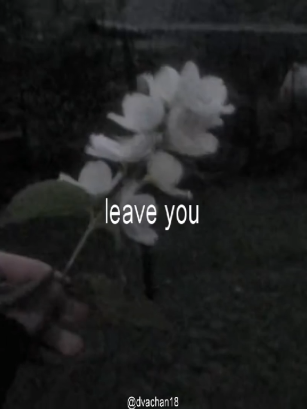 daydreaming #lyrics_songs #songlyrics #digitalcamera #rebzyyx