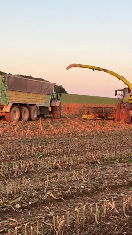 #pourtoi #agriculture #fyp 