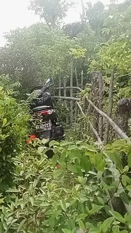 🙏 mohon maaf atas dalam komentar tadi . kapado masarakat taluekkasai .  kejadian Yo awak Pai manciang Onda Wak ilang . tapilai batamu .  kejadian dimuaro gunung gadang . sakali lai Wak mintak Mao kapado masarakat taluek Kasai 🙏🙏