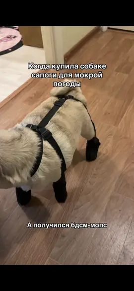 Или сапоги для рыбалки