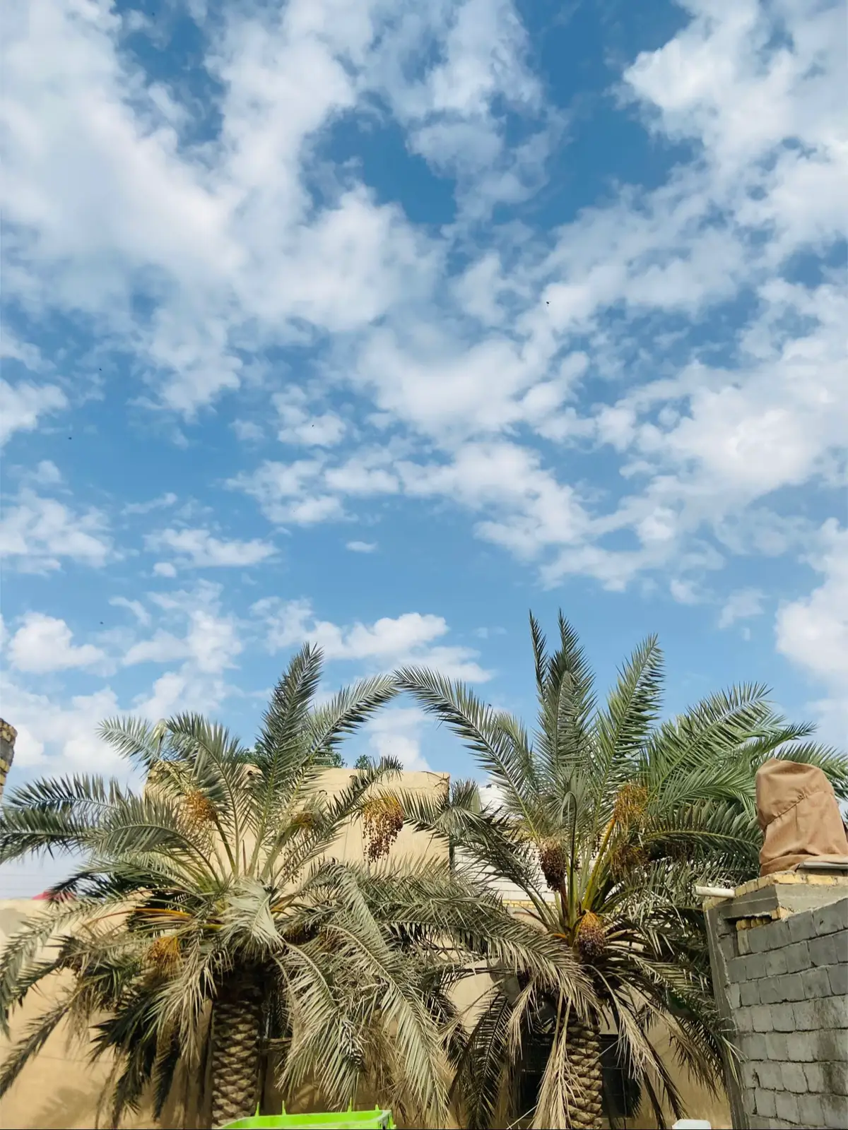 #الناصريه #العراق #fyp #fyppppppppppppppppppppppp #اكسبلورexplore 