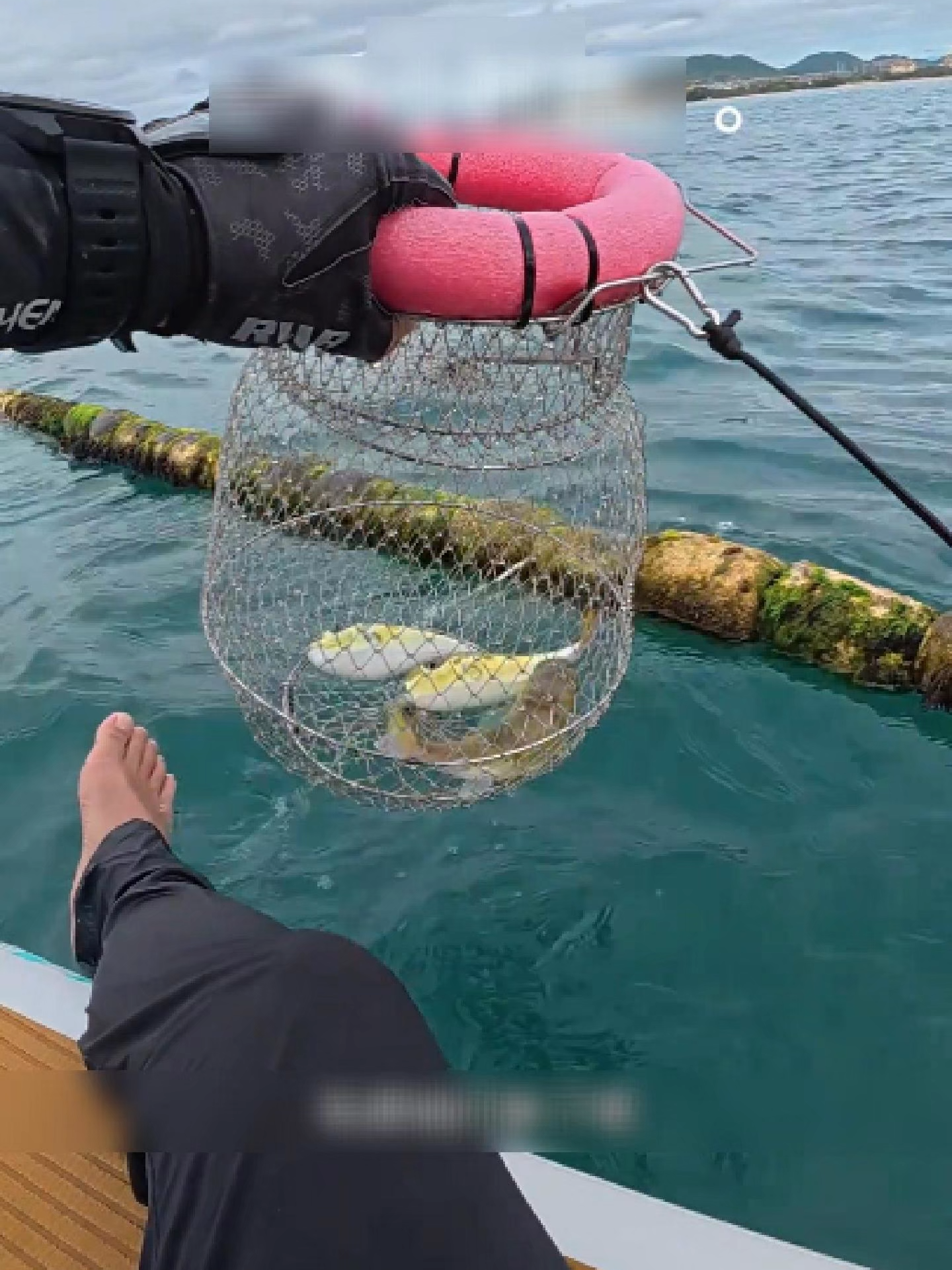 Hành trình săn cá biển Phần 35 #giaitri #cauca #fishing