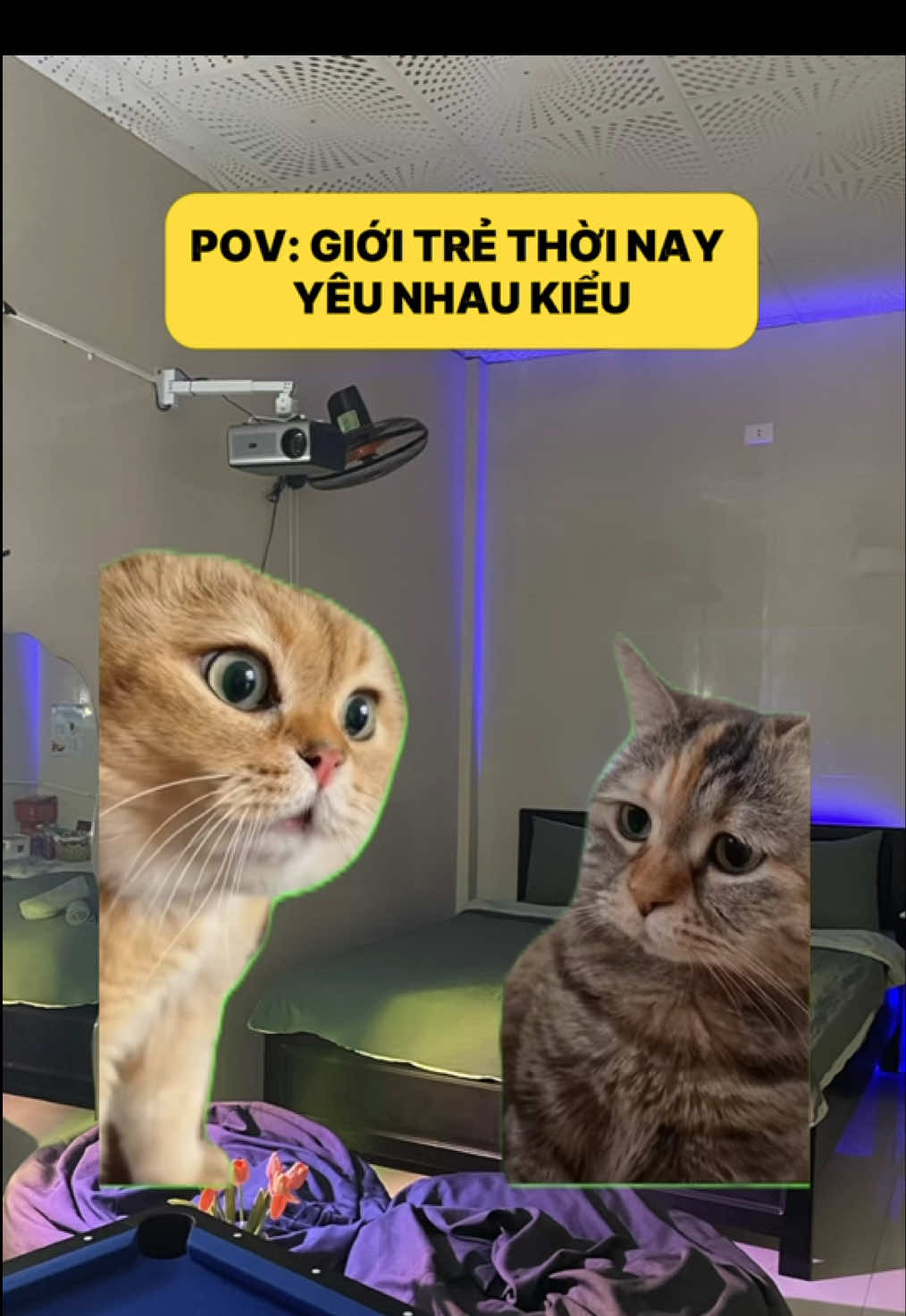 Tầm này còn ngại gì nữa 🤭 #Trúcinehome  #skinship #couple #henhothoinay #homestay 