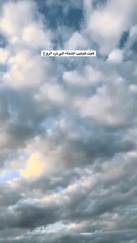 #مساء_الخير #ماشاءالله #هاشتاق #اجواء_الشتاء #نايف_الراضي 