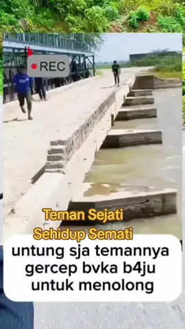 #viraltiktok #video #reels 