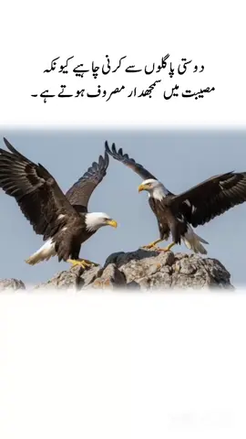 #motivationalvideo#motivationalqoutes#motivationalspeech