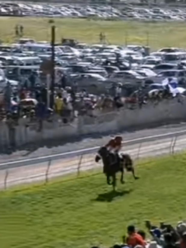 Happy Retirement The Gatekeeper❤️❤️#mru🇲🇺 #thegatekeeper #mtcsl #horse #retirement 