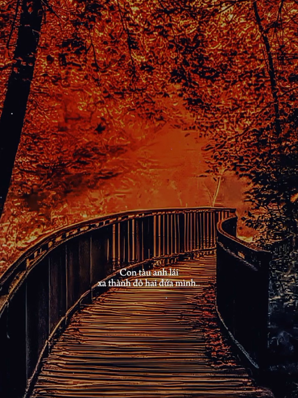 [ Sân Ga Đời Anh ] #sangadoianh #nhactamtrang  #tamtrang  #maucapcut  #nhacbuon 