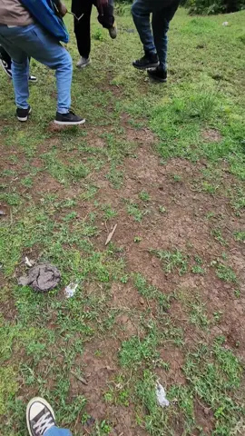 #creatorsearchinsights #vistoromia #foryou #vistethiopia @dahalaktour&travel another level💥🔥