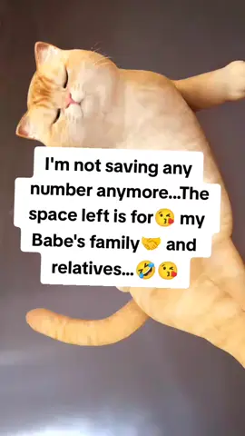 #creatorsearchinsights #funnyvideos😂 #fypシ゚ 