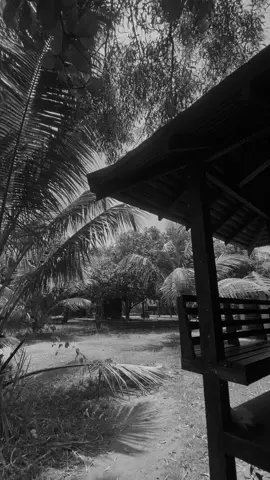 Black and white එකක් 🥹🤍 #fdø #viral #fypシ #fypageシ♡❤️ #stitch @Nirosh_F’dø__ 