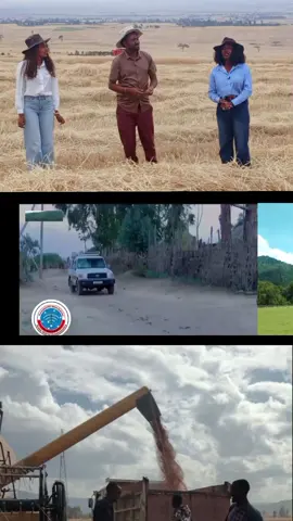 Qe'ee Qonnaan #Bulaa_Adda_Duree fi Kallattii Hundaan Fakkeenya Ta'an. Muuxannoo Irraa Qoodadhaa... #Haaji_Hasanoo_Qeebaloo #Aanaa_Dodolaa #Ganda_Bariisaa