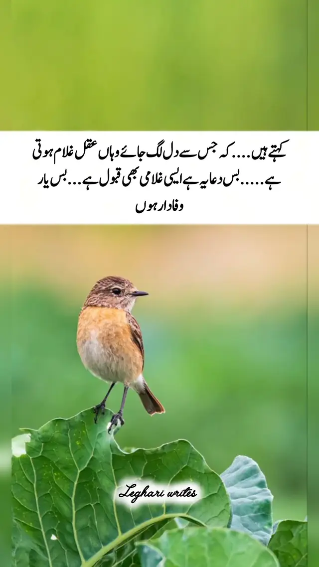 don't under review my video tiktok team  #fyp #fyppppppppppppppppppppppp #1000k #creatorsearchinsights 