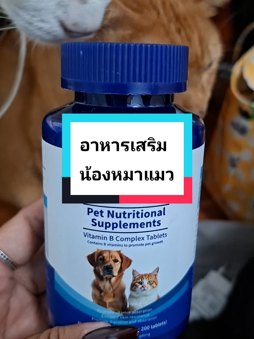 วิตามินรวมน้องหมาน้องแมว เด็กๆชอบมาก ลองให้เด็กๆที่บ้านทานกันนะคะ#วิตามินรวมแมว #วิตามินสัตว์เลี้ยง #อาหารเสริมแมว #หมาแมว #petclear 