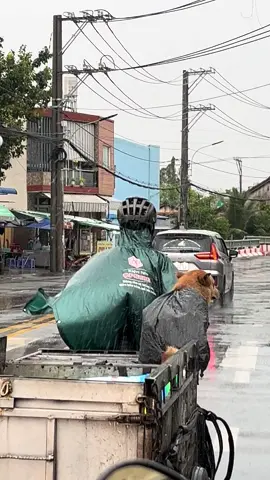 “Tôi thích chó cỏ hơn chó kiểng vì chúng gần gũi, dễ nuôi và rất trung thành. Nhìn vẻ mộc mạc và tính cách thân thiện của chó cỏ khiến tôi cảm thấy ấm áp và gắn bó hơn nhiều.” #xh #TikTokAwardsVN #xh #xhhhhhhhhhhhhhhhhhhhhhhh 