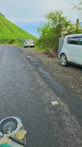 اصحاب إب من يعرف اسم هذا النقيل #تصويري من مديرية الجمال و الطبيعه #صنعاء_تعز_عدن_اب_ذمار_حجة_حضرموت 