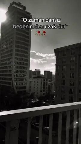 #keşfetteyizzz #fyp #fyp5226m #keşfetbeniöneçıkartiktokbenidegör #vheneverwherever🦅🦅 