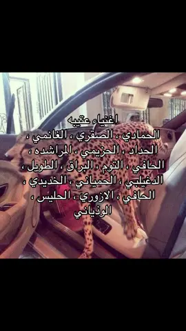 #عتيبه_الهيلا #اكسبلور #flypシ #explore #flyyyyyyyyyyyyy 