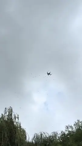 drone vs hornet❤️😂 #fyp #drone #hornet #keepsupporting #fyp 