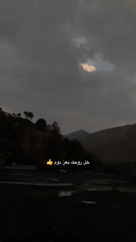 #لحن_الشمري #تصويري 