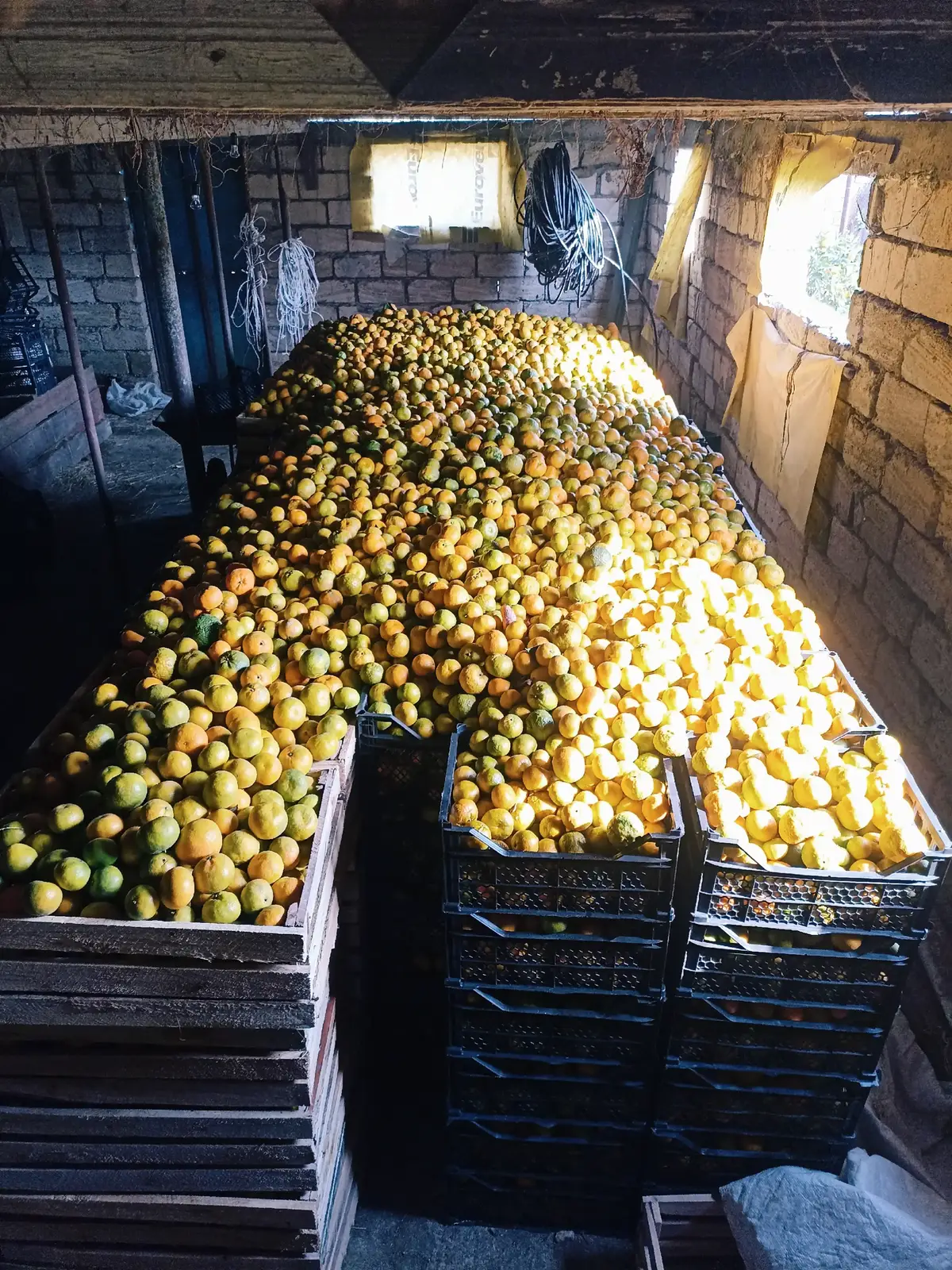 #@@qoca_605 😂 tutmasa siləcəm 