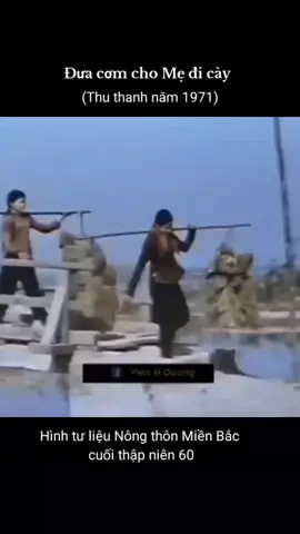 #nhacthieunhi Đưa cơm cho Mẹ đi cày (Thu thanh năm 1971)#nhacthieunhi #lichsuvietnam #tulieulichsu #vietnamtoiyeu #dienbienphu