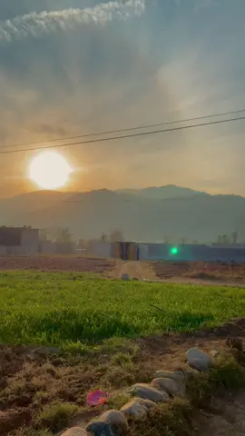 🍂 کچھ چیزیں انسان کو اندر سے کھا جاتی ہیں جیسا کہ جدائی بے قدری ادھورے خواب تنہائی٫ انتظار، خاموشی لاحاصل چیز 🩶🍁 #pleaseunfrezzemyaccount 💔 #viralvideo #judae #sadness #newaccount 