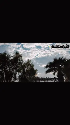 الأجواء بعد المطر ⛈️#مطر_غيوم #قران_كريم_ارح_سمعك_وقلبك #fyp #foryou #الاجواء_الشتويه 