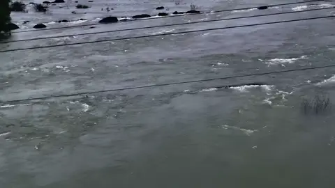 1 bông hoa vạn người muốn hái.... . mời mng đối tiếp ạ 🥰 #sad #xuhuongtiktok #chill  #pppppppppppppppp 