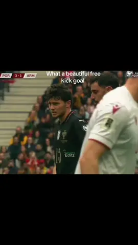#portugalvsarmenia #portugalfans #football #highlight #footballlover 