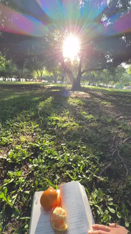 السدف❣️ #هواجيس #fyp  #شمس #غابه #explore 