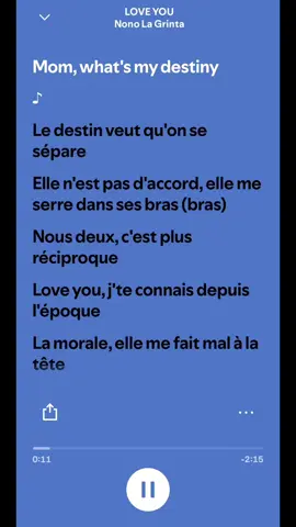 #nonolagrinta #🐈‍⬛🐈‍⬛ #loveyou #fyp #song 