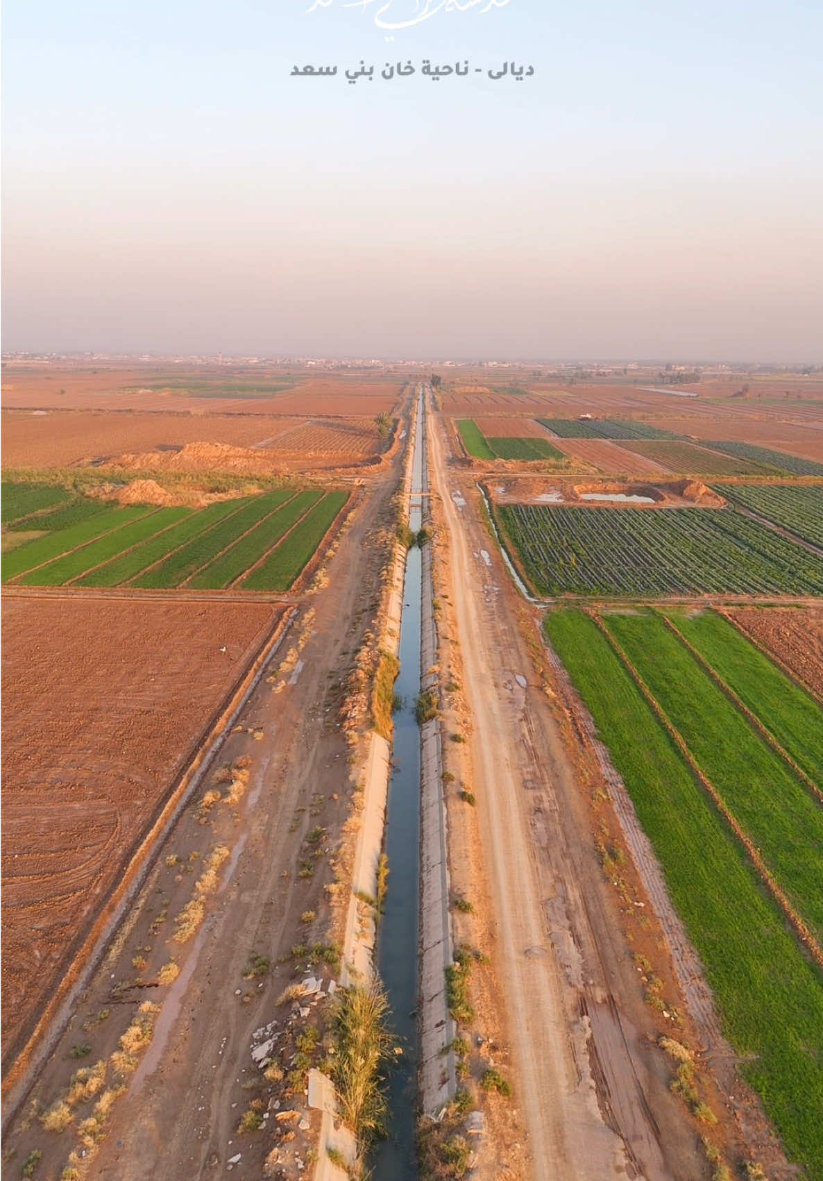 جمال الطبيعة في ناحية خان بني سعد محافظة ديالى ❤️#ديالى_بعقوبة #ديالى #خان_بني_سعد #طبيعه #مزارع 