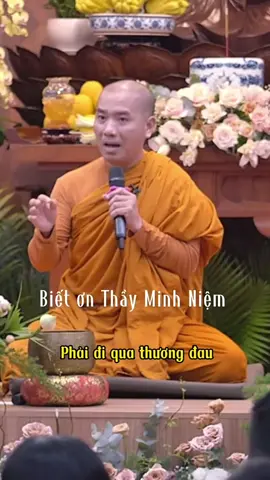 Mình đến cuộc đời này để làm gì #thayminhniem 