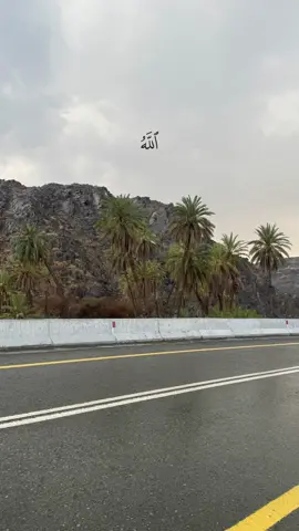 #ايات_من_القرآن_الكريم_ستوريات_ادعية_قرآن 