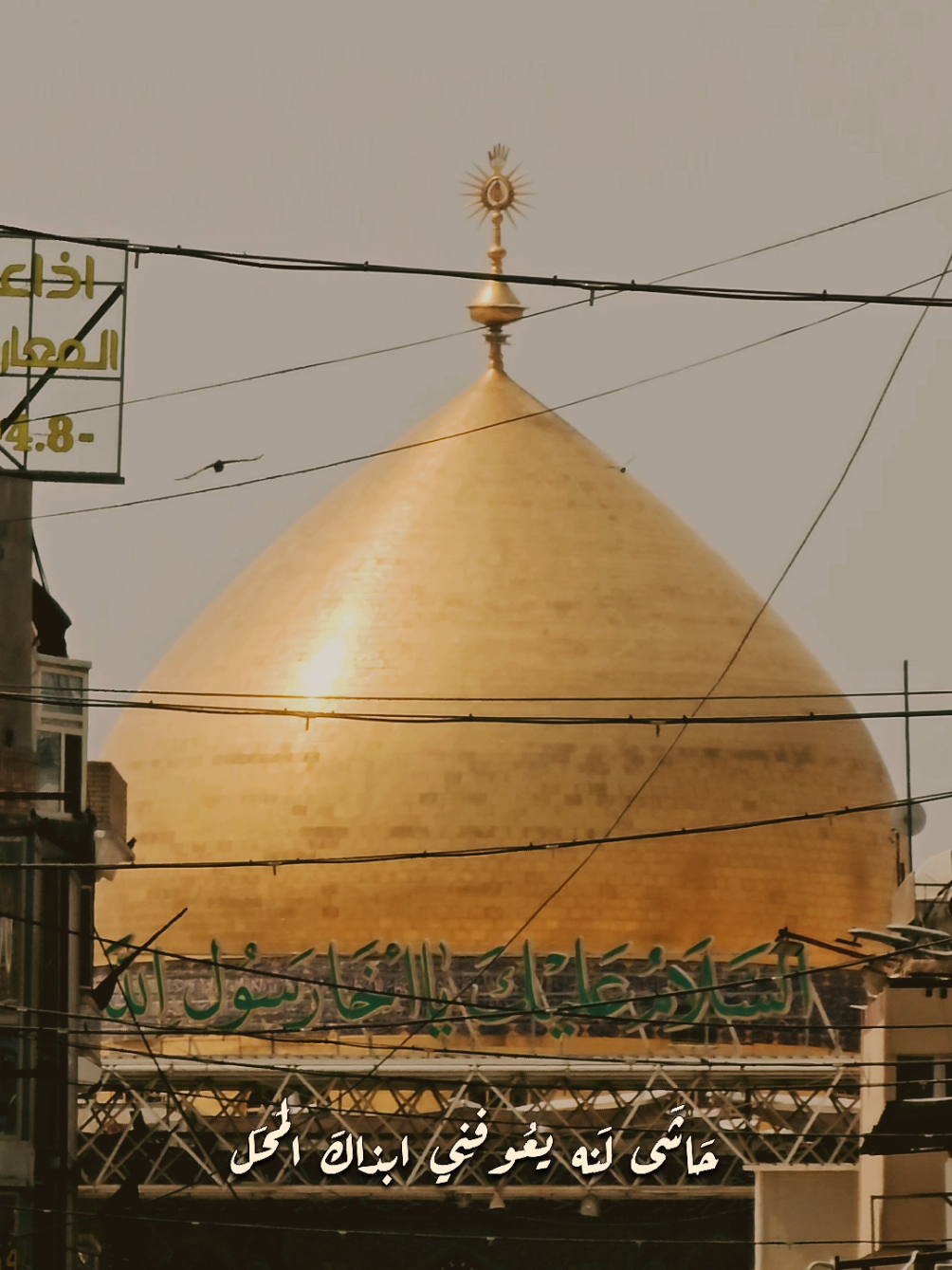 حَاشى لنه يعوفنِي ابذاكَ المَحَل #ياعلي #الامام_علي_عليه_سلام #أمير_المؤمنين #الشيخ_زمان_الحسناوي #اللهم_صل_على_محمد_وآل_محمد 