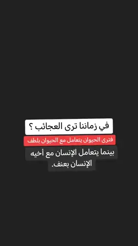 #في هذا اليوم 