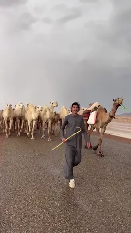 يالله لك الحمد #امطار #سيل #الحسو #صخيبرة 